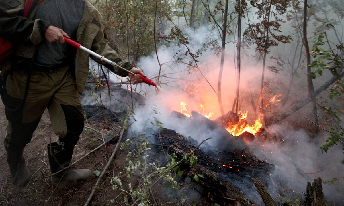 «Единая Россия» предлагает дать статус волонтеров добровольцам-пожарным и спасателям