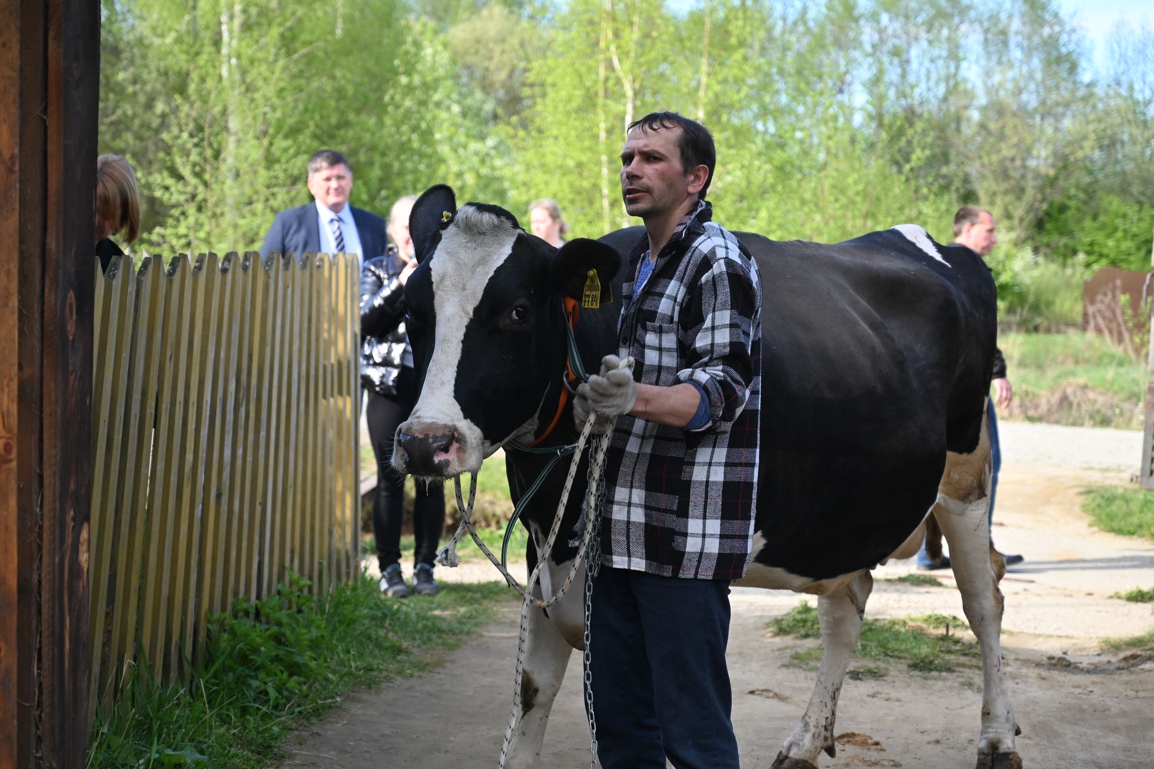 Многодетная семья Маркиных получила для своего домашнего хозяйства корову после обращения к Евгению Куйвашеву