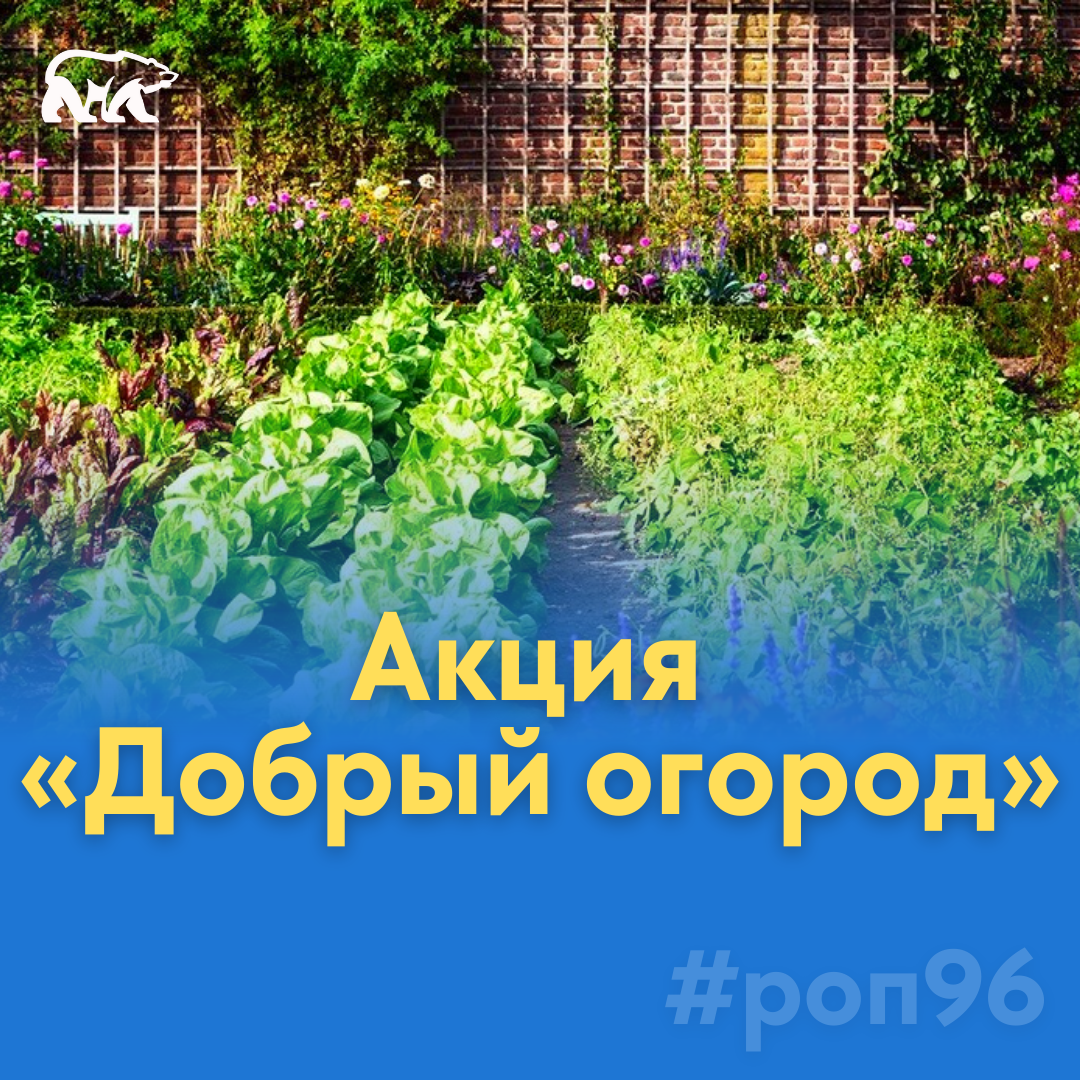 «Единая Россия» запускает акцию «Добрый огород»