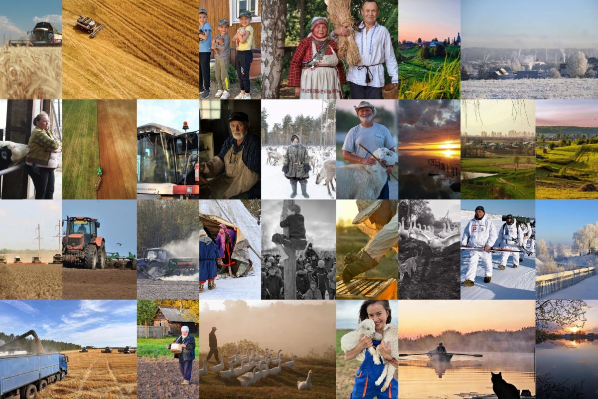 «Единая Россия» запустила голосование на всероссийском конкурсе фотографий «Российское село»