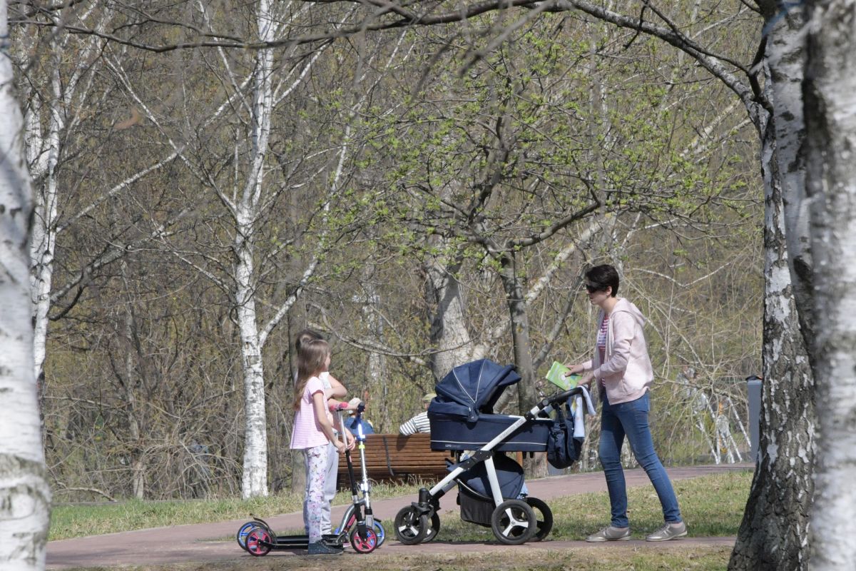 «Единая Россия» добилась освобождения женщин с детьми до трёх лет от испытательного срока при приёме на работу