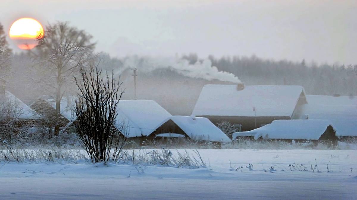 Правительство дополнительно выделило 3,6 млрд рублей на развитие села — увеличения расходов добивалась «Единая Россия»