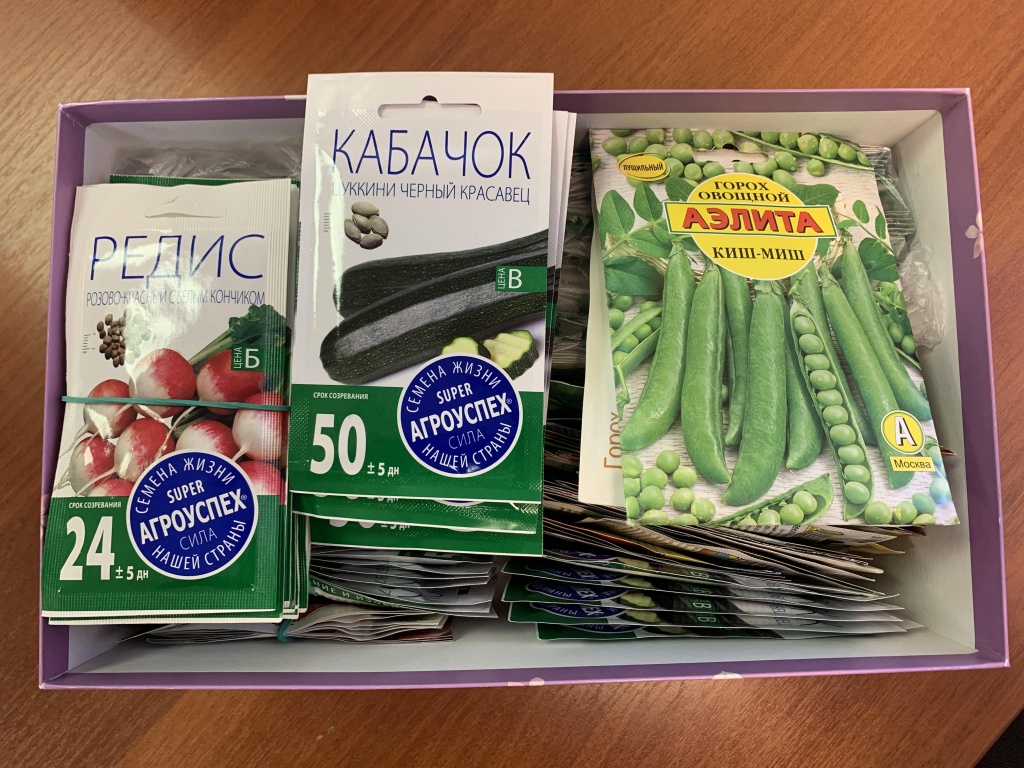 чкал.jpg